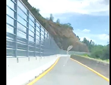 immagine notizia (ptn) Provincia, viabilità: riaperta da oggi a senso unico alternato la Sp 12 Bagnorese